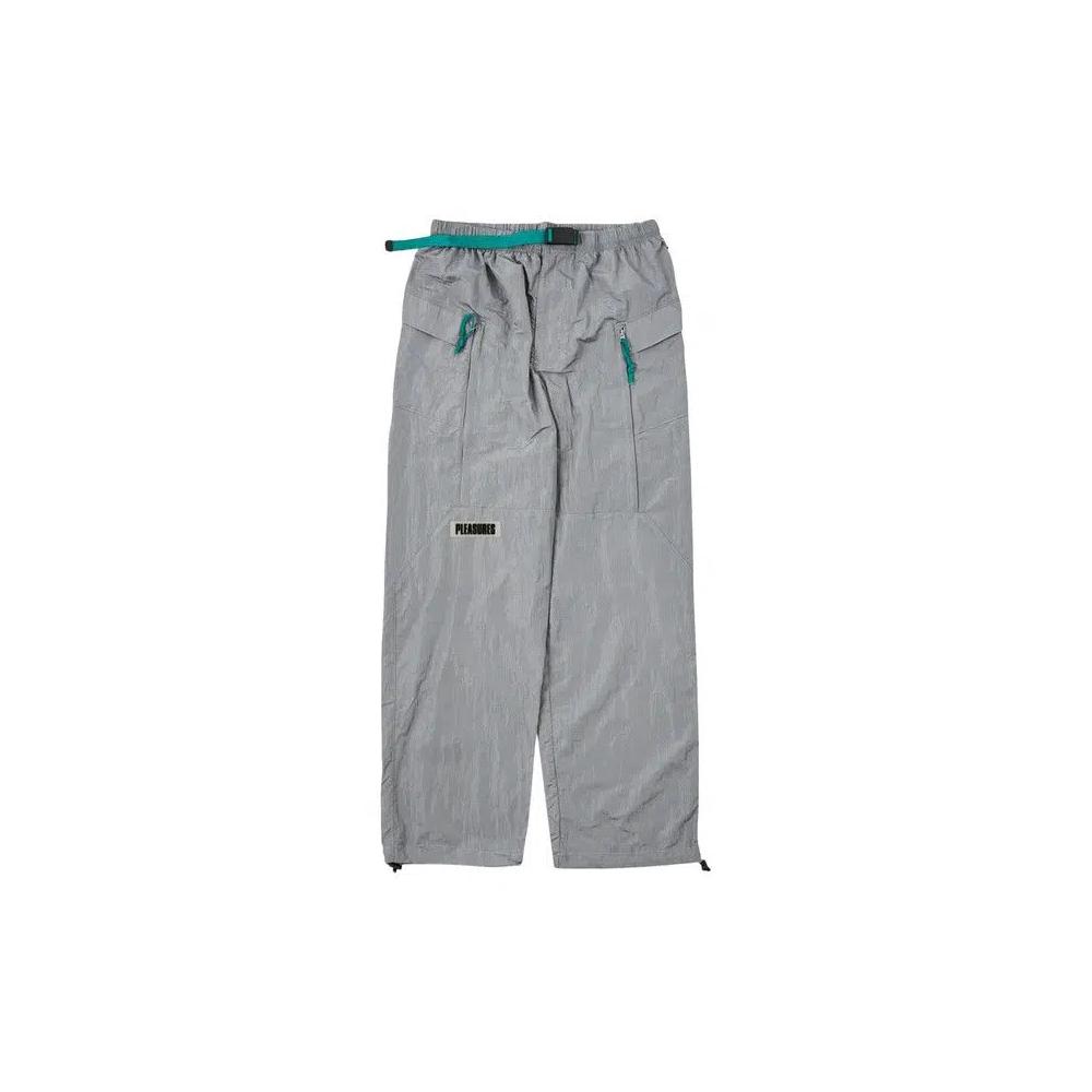 Брюки Pleasures Tidy Hiking Pant 'Silver' 1