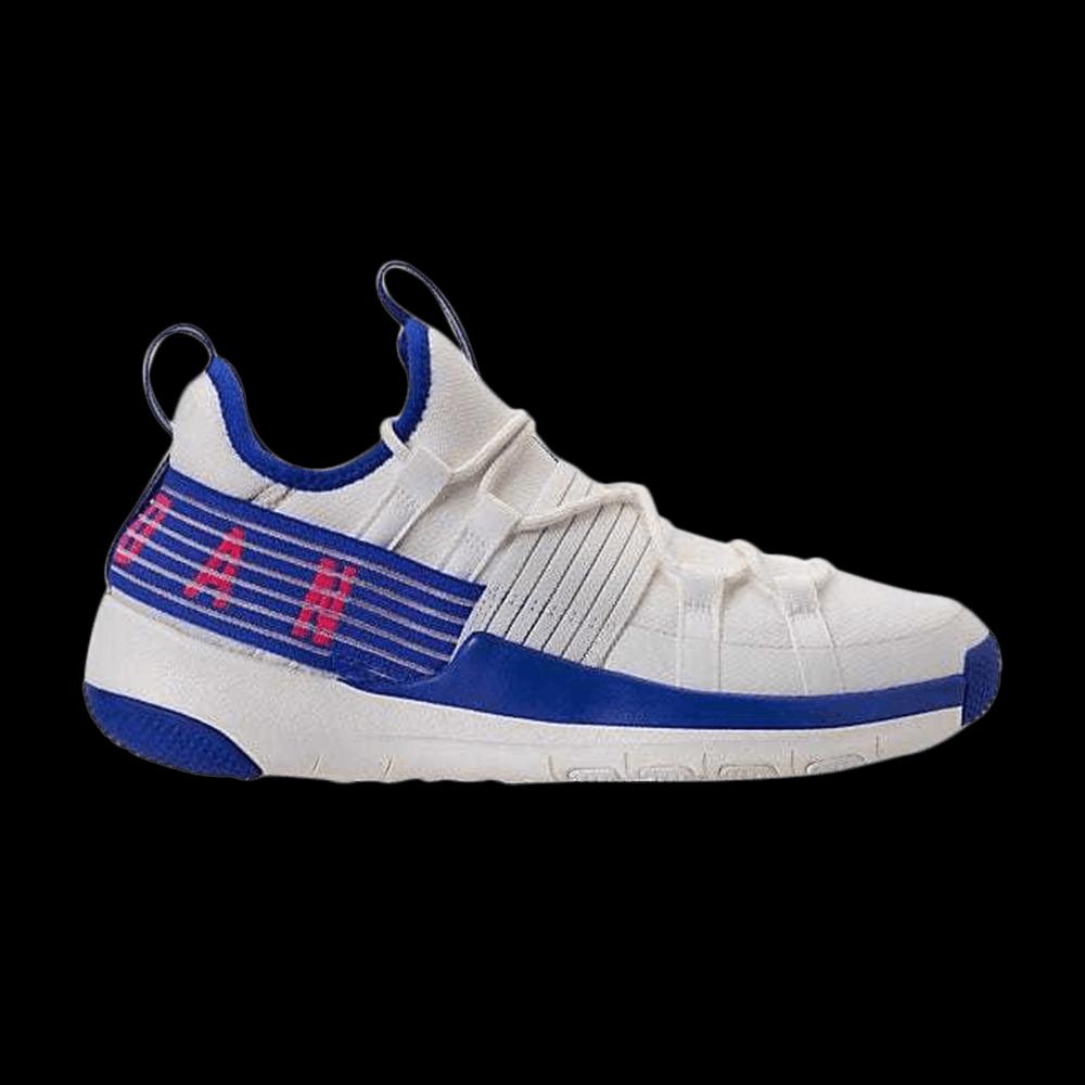 Кроссовки Air Jordan Trainer Pro 'Sail Racer Blue' 1