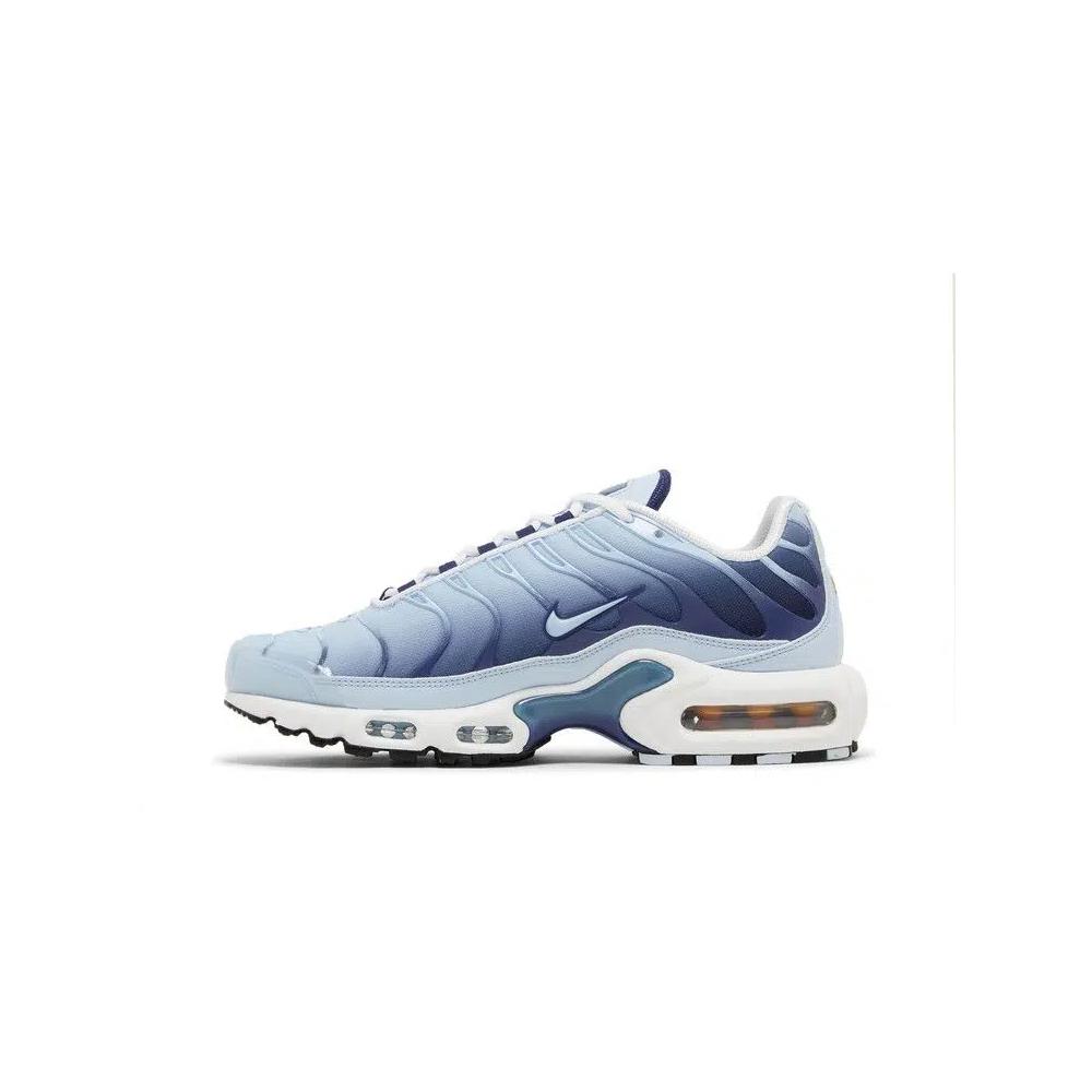Кроссовки Nike Wmns Air Max Plus 'Celestine Blue' 3