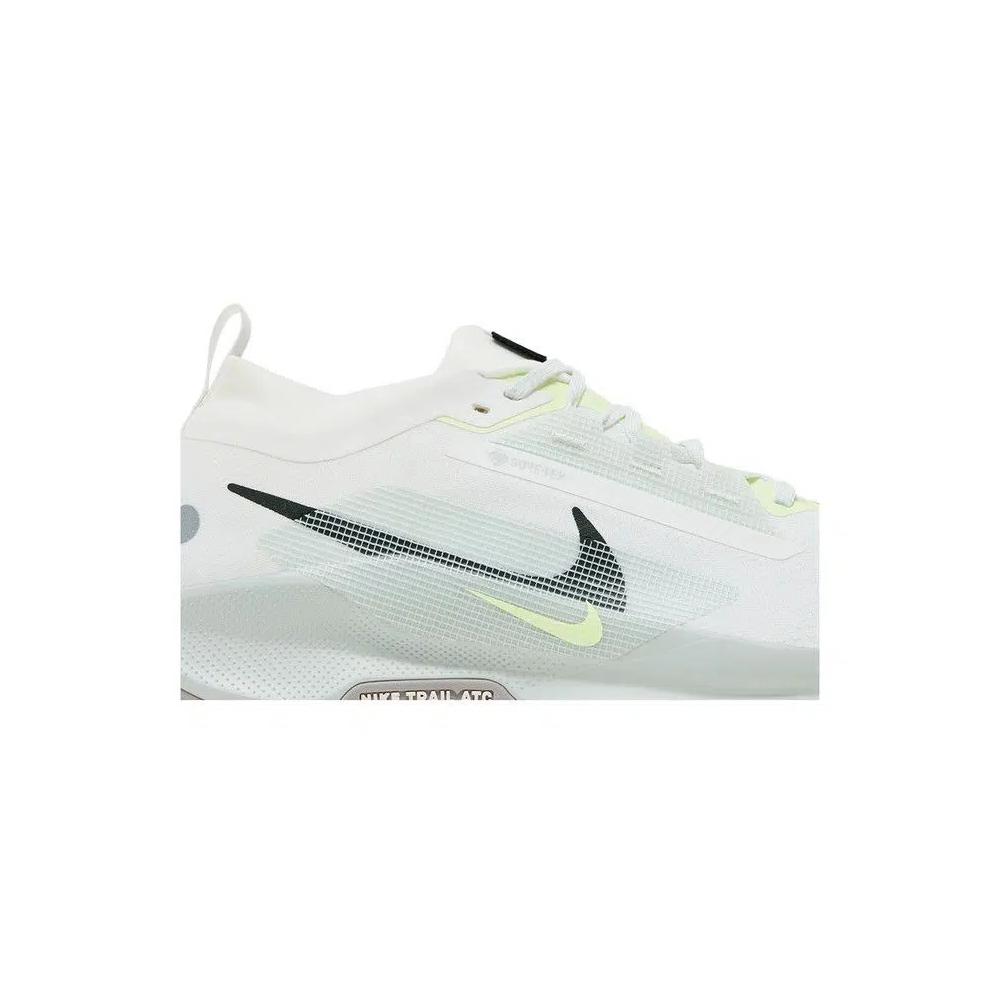 Кроссовки Nike Pegasus Trail 5 GORE-TEX 'Light Silver Sequoia' 2