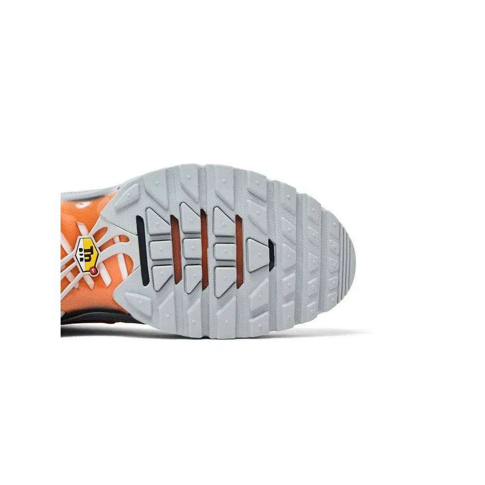 Кроссовки Nike Air Max Plus 'Light Smoke Grey' 5