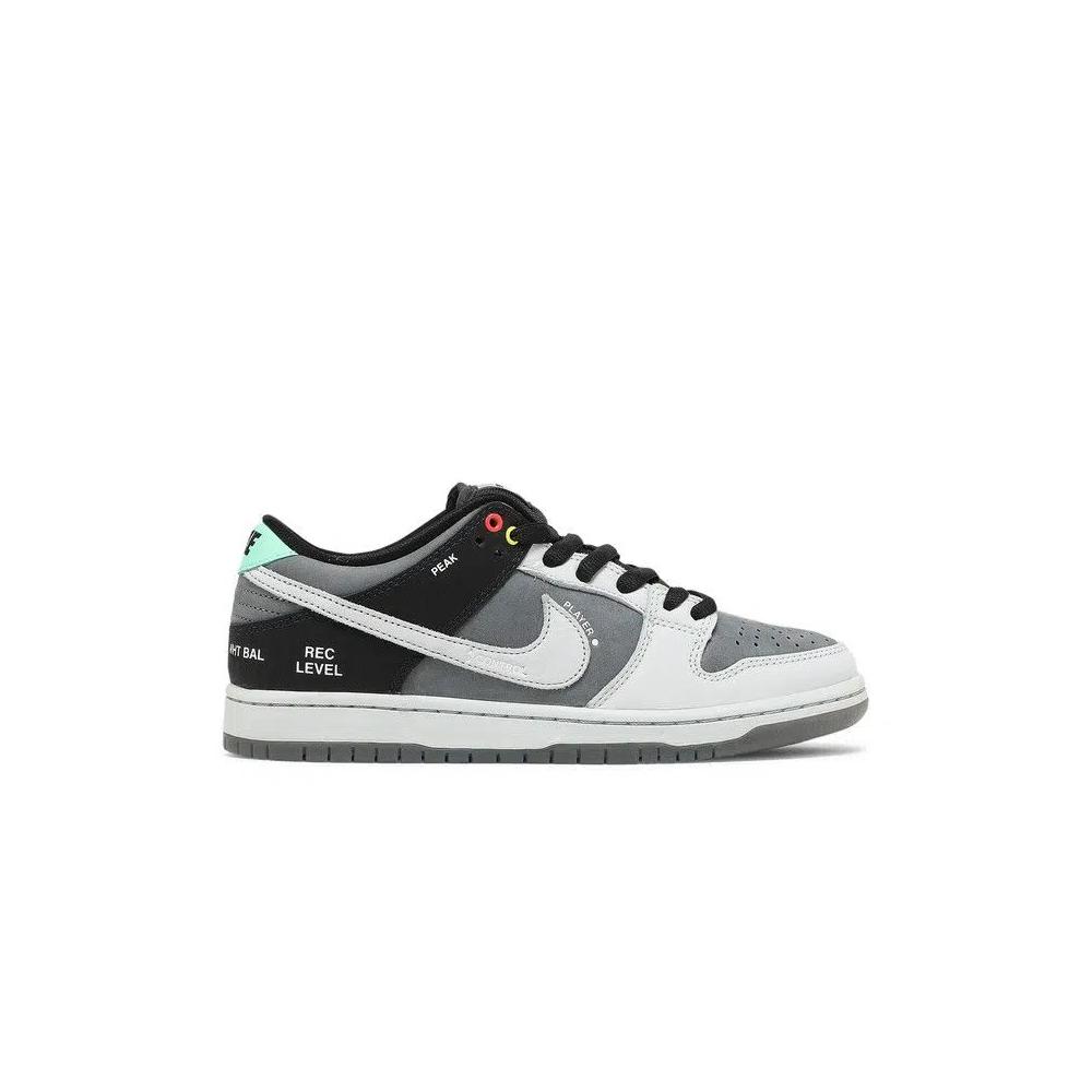 Кроссовки Nike Dunk Low SB 'Camcorder' 1