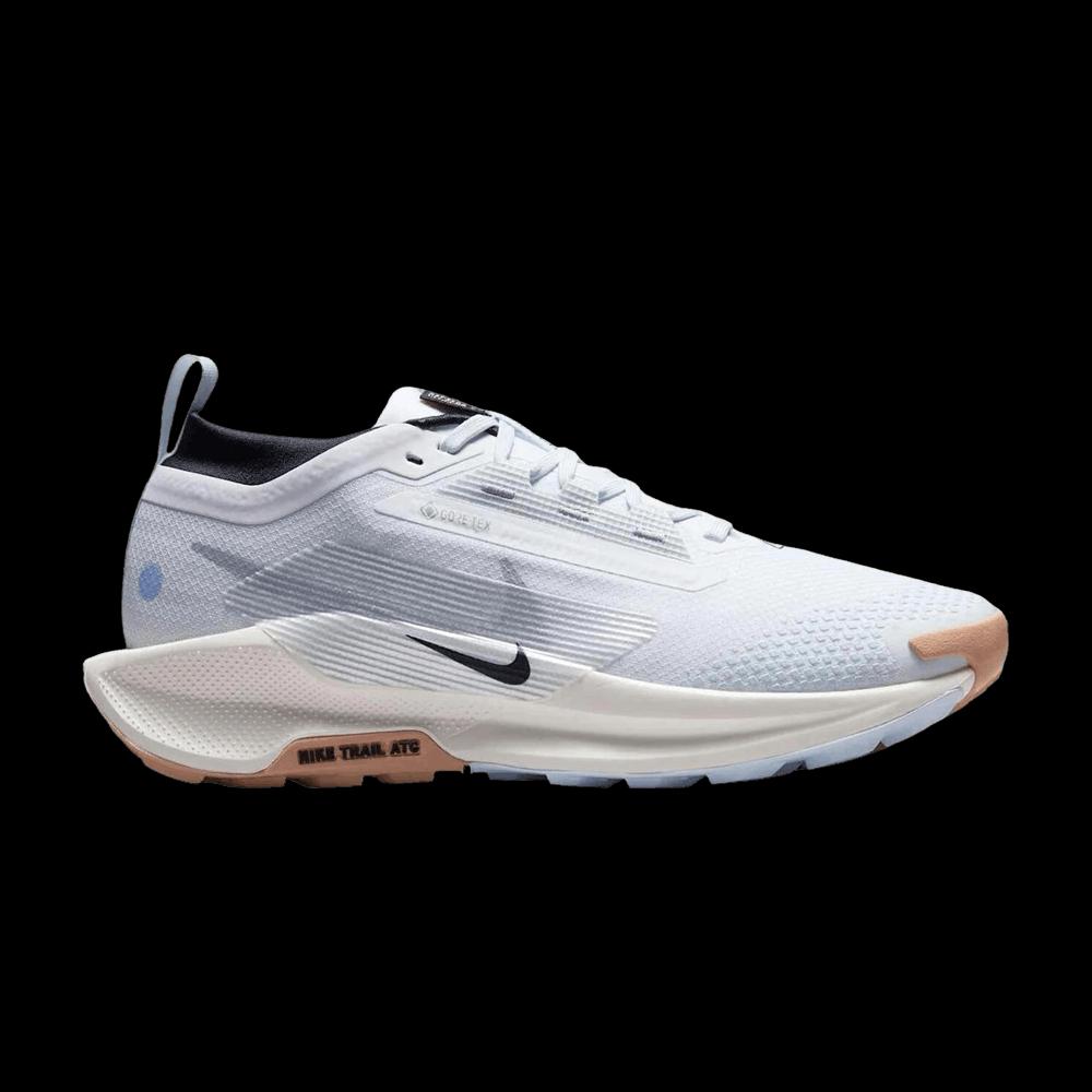 Беговые Nike Wmns Pegasus Trail 5 GTX 'White Black Sail Wolf Grey' 1