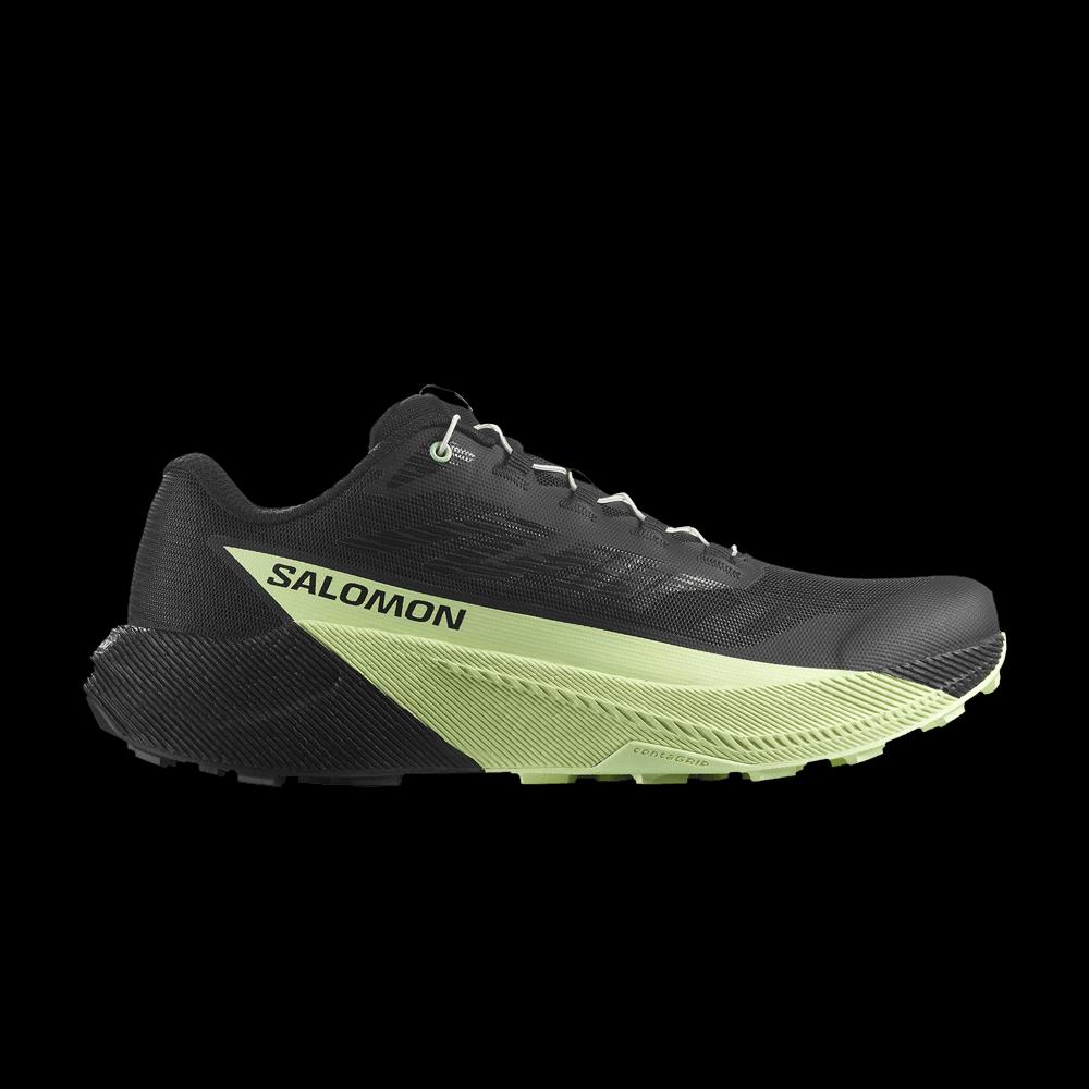 Кроссовки Salomon Pulsar «Black Patina Green» 1