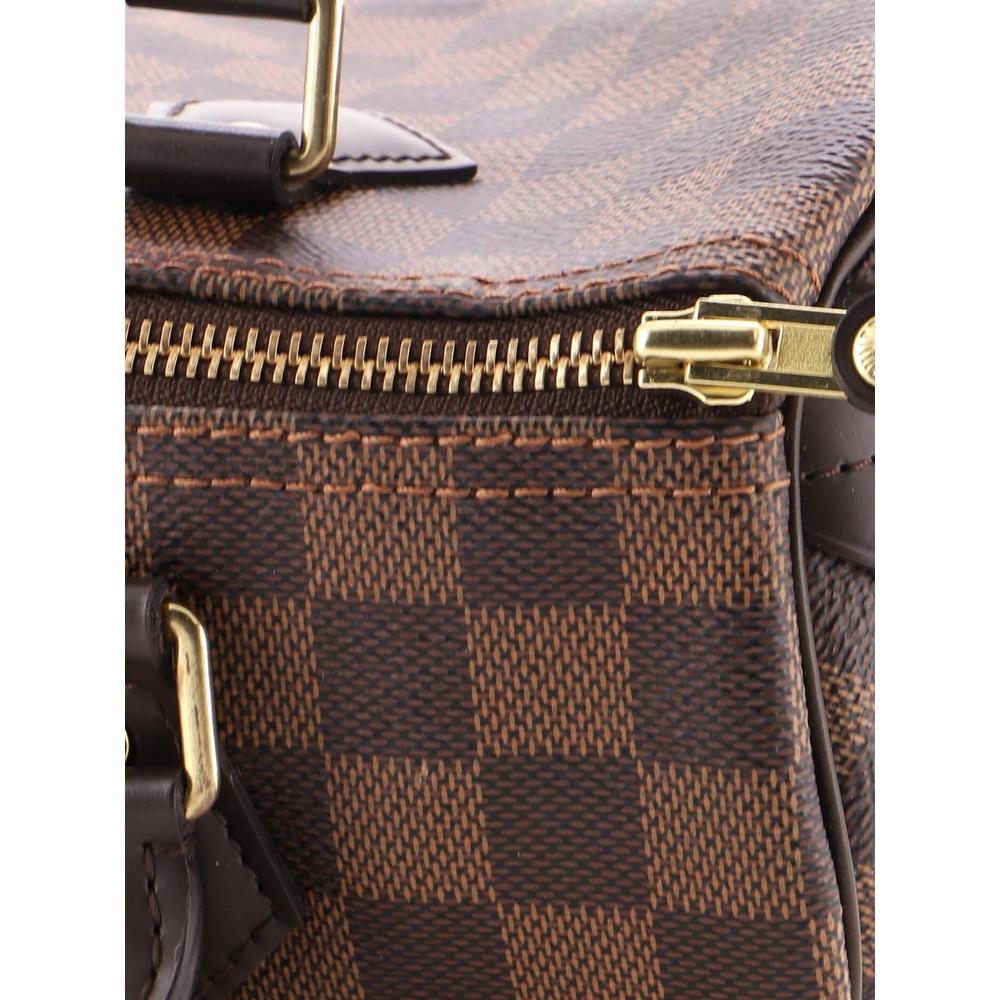Speedy Handbag Damier 25 satchel 5