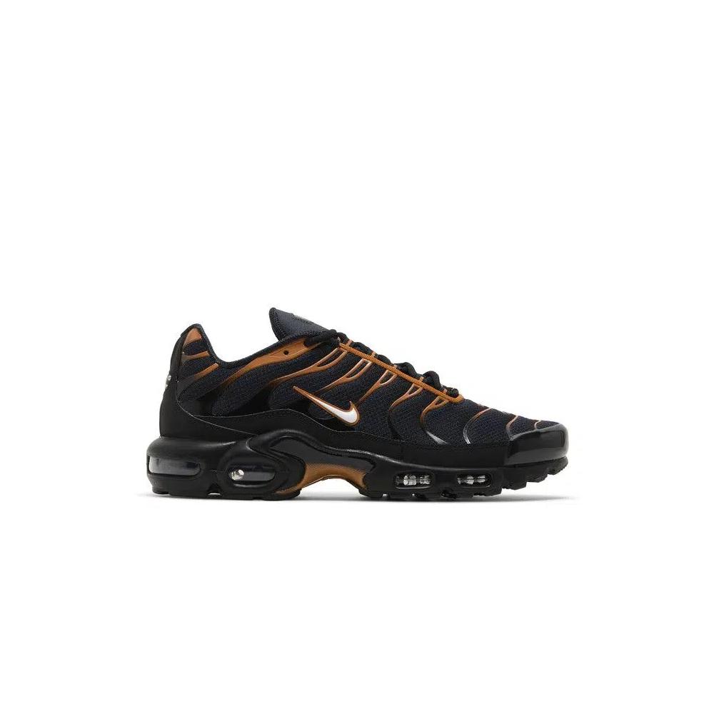 Кроссовки Nike Air Max Plus 'Dark Obsidian Monarch' 1