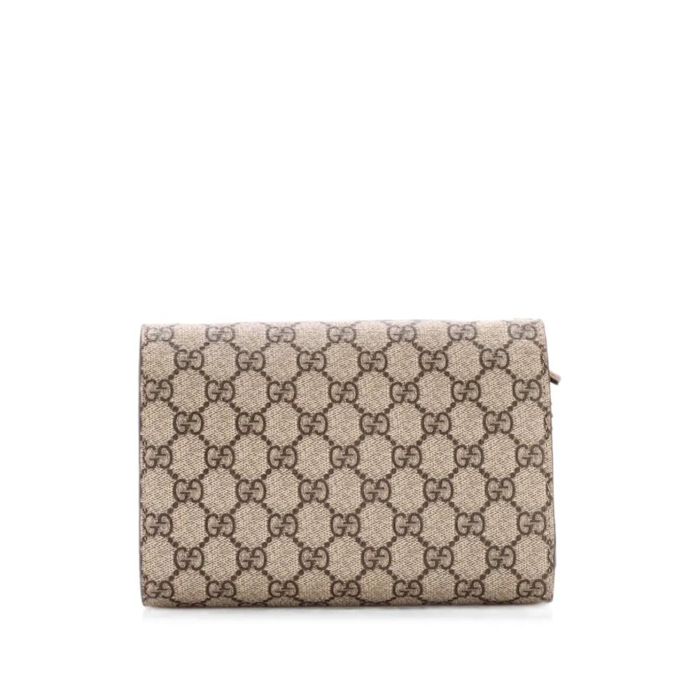 Маленькая сумка через плечо Dionysus Chain Wallet GG Coated Canvas 2