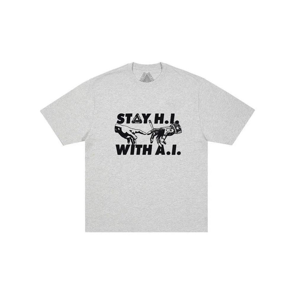 Топы Palace Indica T-Shirt «Grey Marl» 1