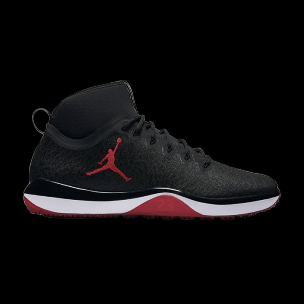 Кроссовки Air Jordan Trainer 1 1