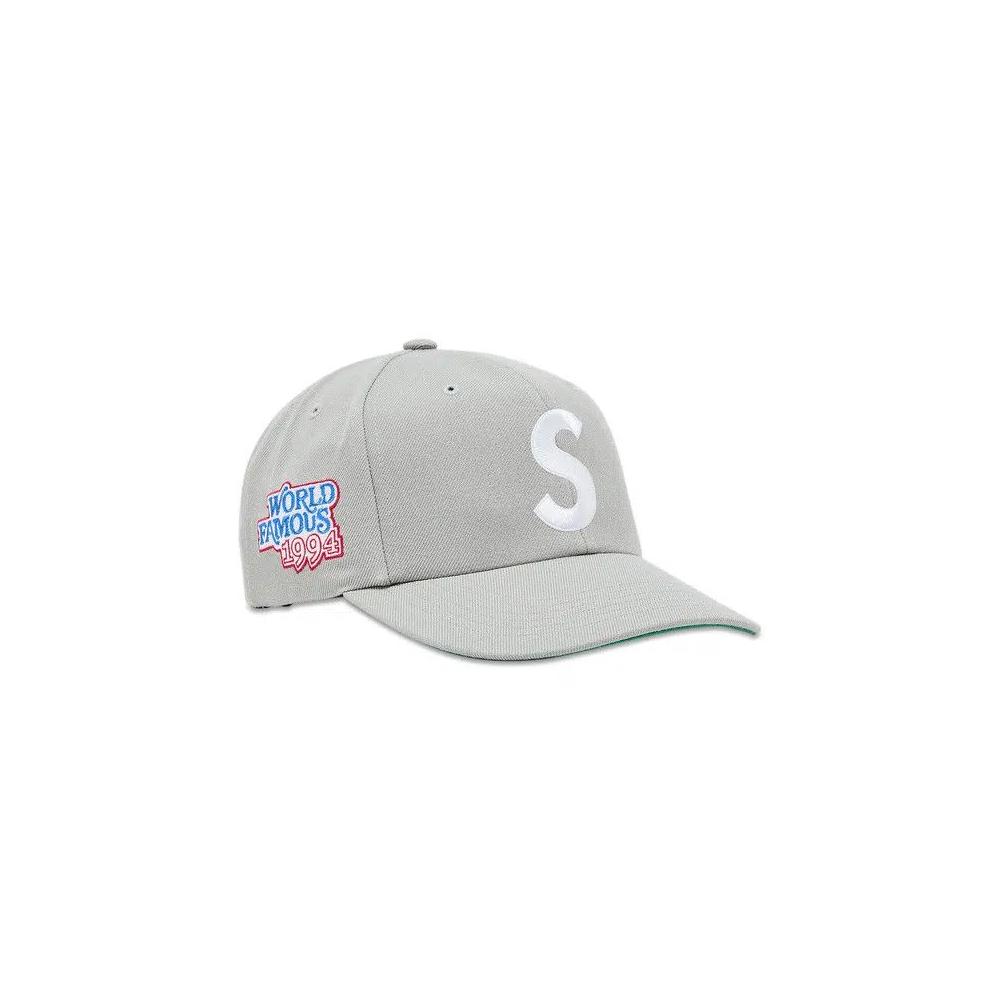 Кепка Supreme World Famous S Logo 6-Panel 'Grey' 2