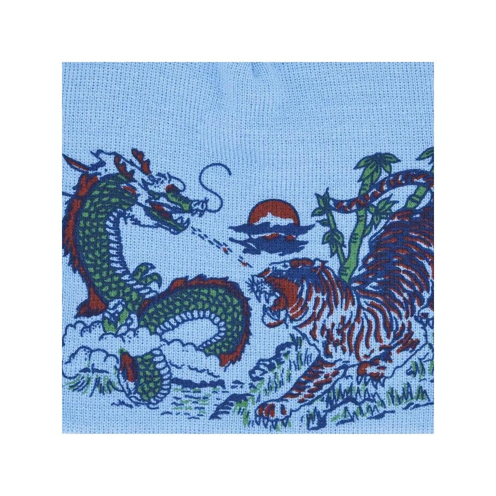 Шапки-бини Supreme Dragon Beanie 'Blue' 3