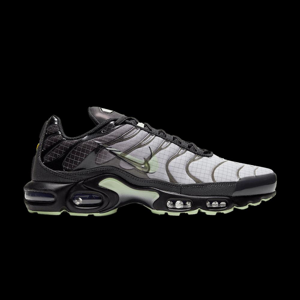 Кроссовки Nike Air Max Plus 'Future Swoosh' 1