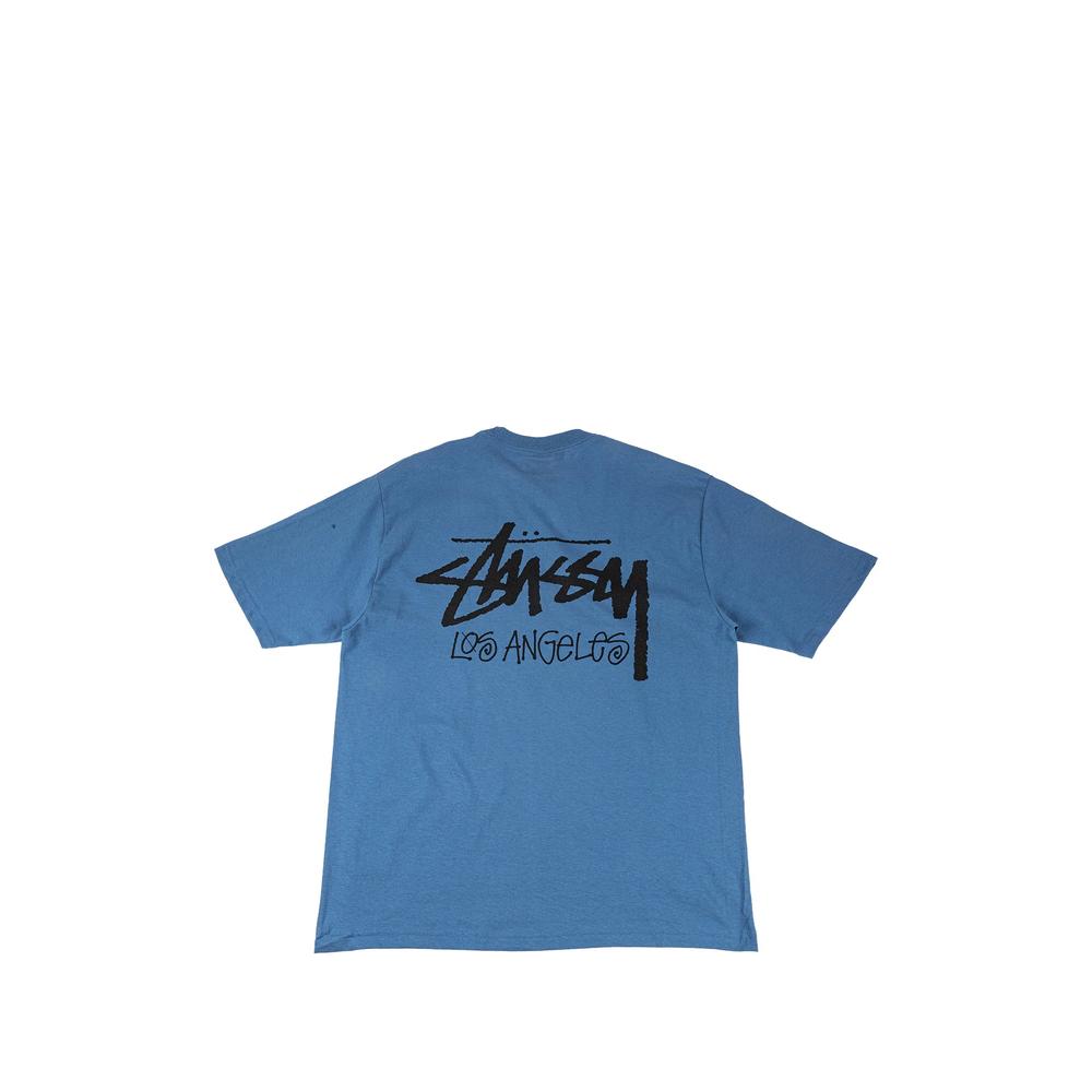 New York Chapter T-shirt 2