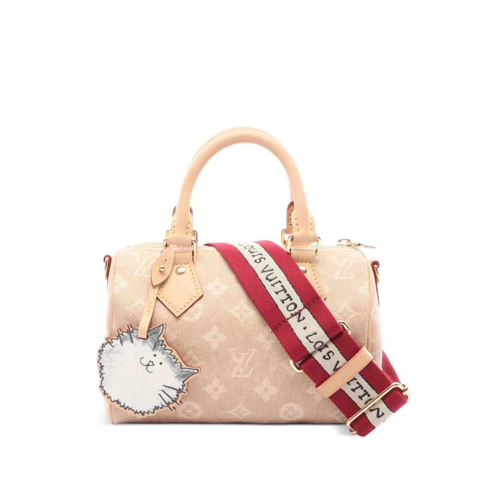 Сумка на плечо Monogram Speedy Bandoulière (2021 год) 1