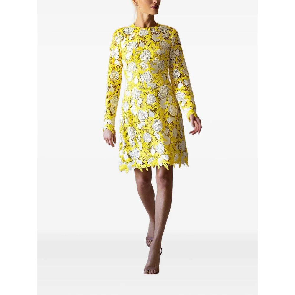 Holly fruit-motif lace mini dress 2