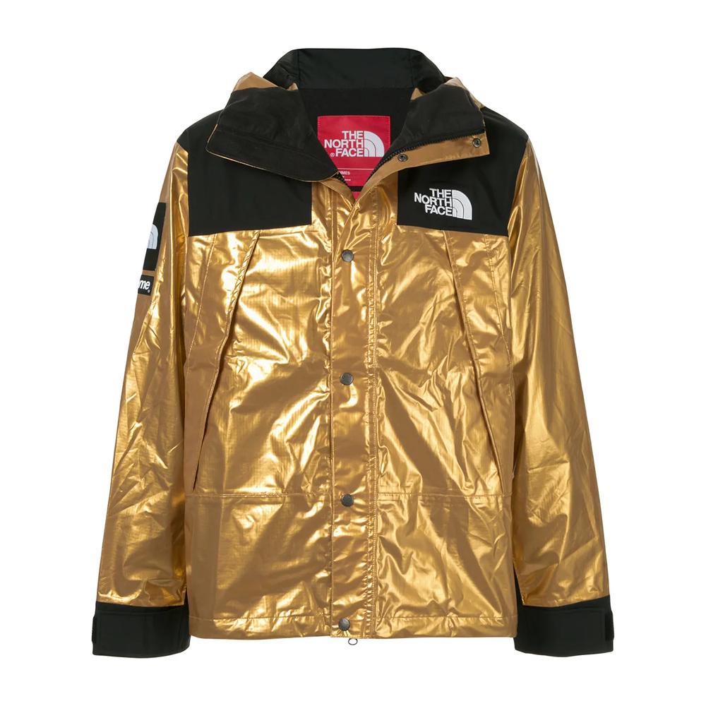 Парка TNF с эффектом металлик 1