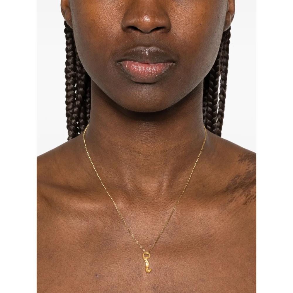 Elusive Dreamer necklace 2