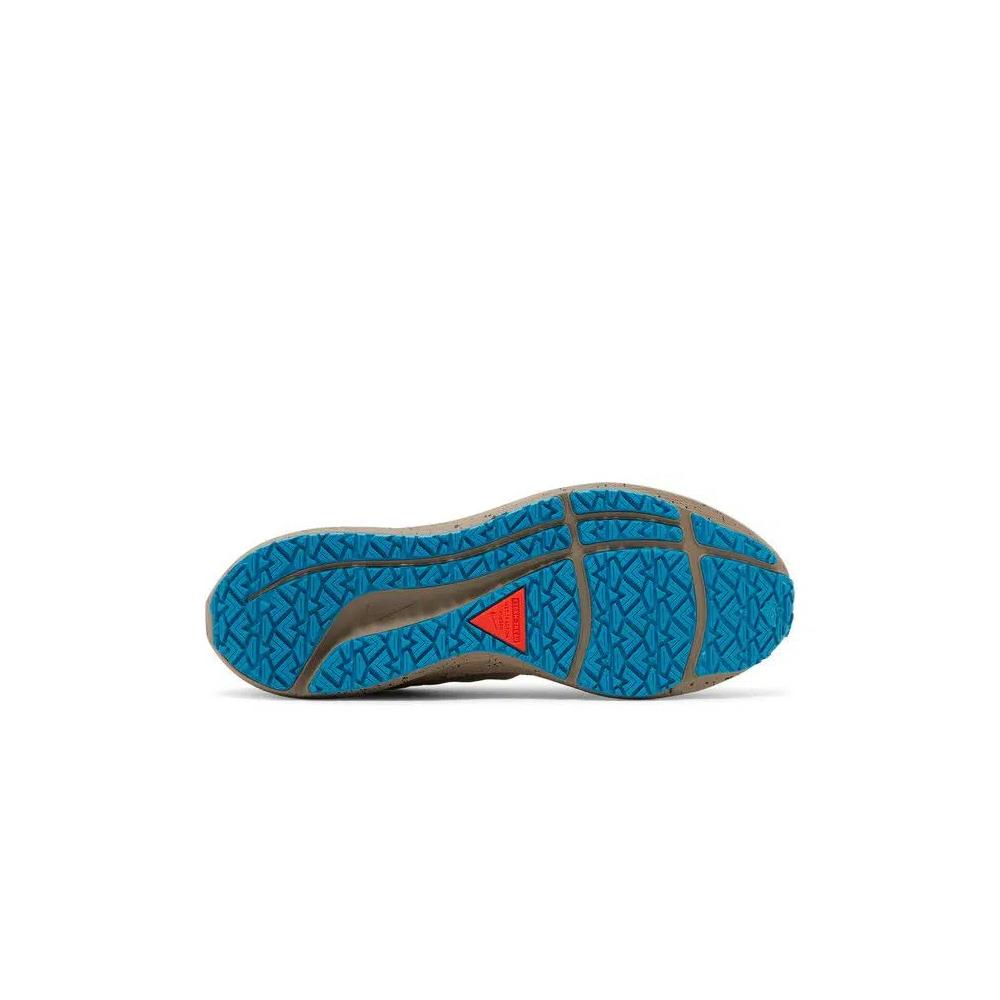 Кроссовки Nike Air Zoom Pegasus 39 Shield 'Medium Ash Bright Crimson Speckled' 4