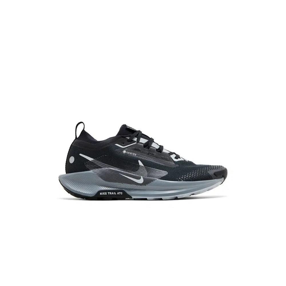 Кроссовки Nike Pegasus Trail 5 GORE-TEX 'Black Wolf Grey' 1