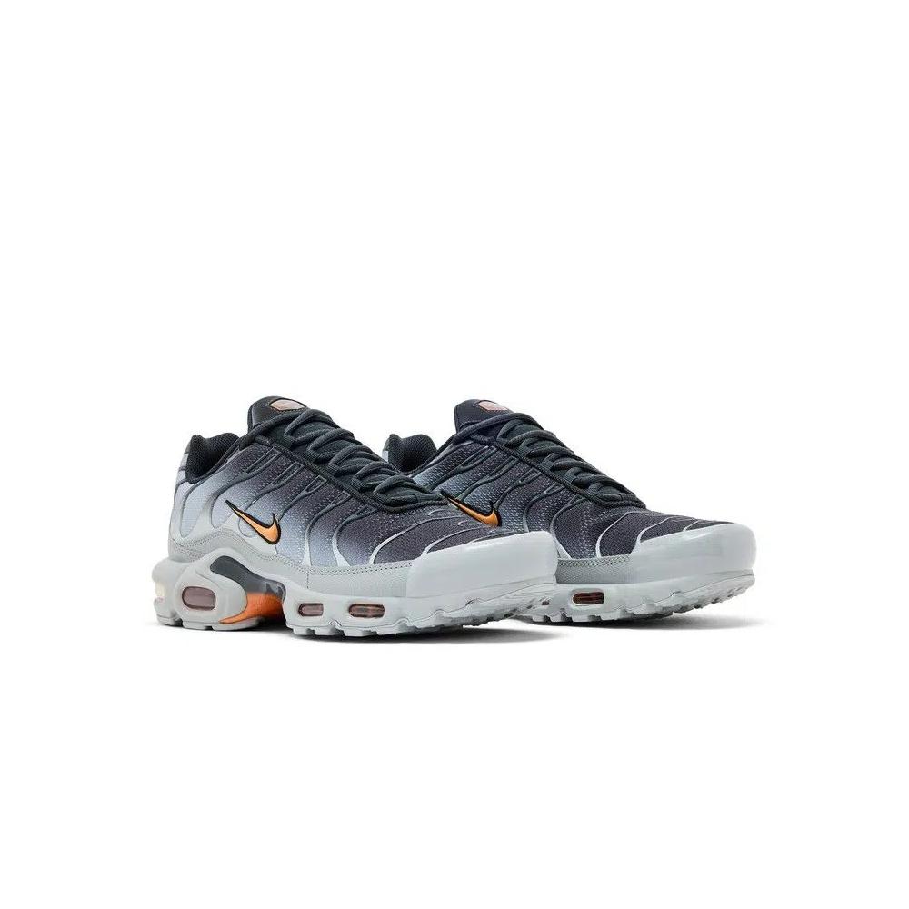 Кроссовки Nike Air Max Plus 'Light Smoke Grey' 8