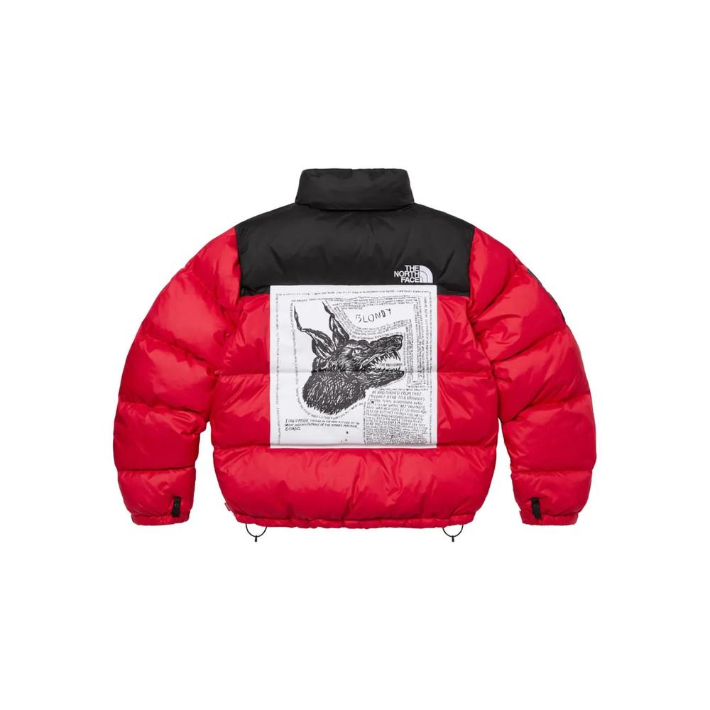 Куртка Nuptse из коллаборации с The North Face 2