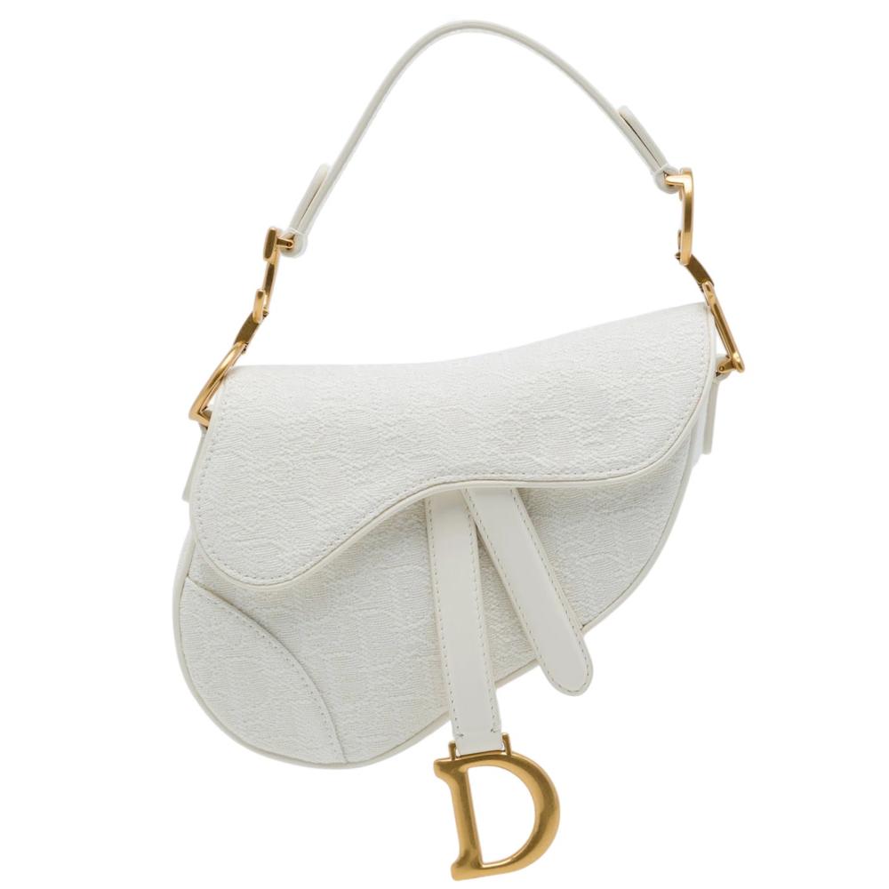 2020 Mini Oblique Embroidered Canvas Saddle Bag satchel 1