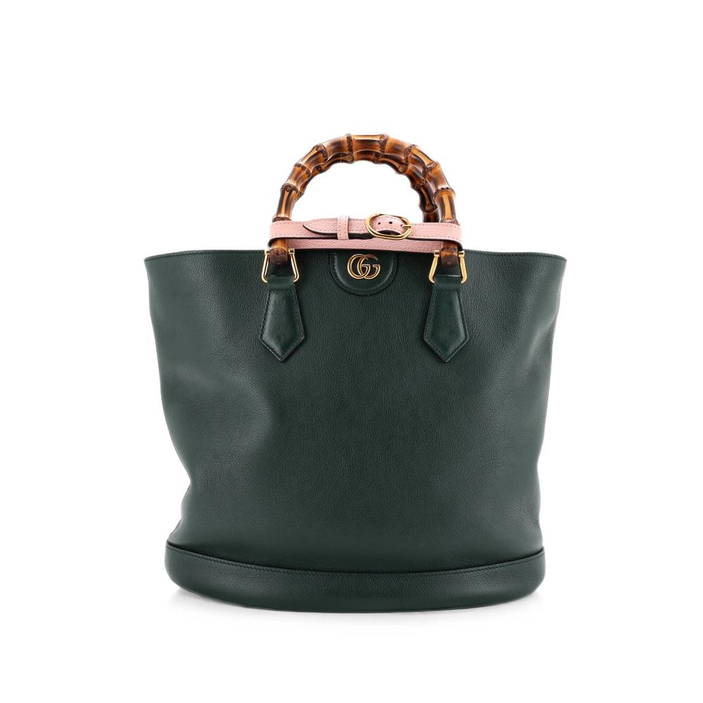 Diana Convertible Leather Medium bucket bag 1