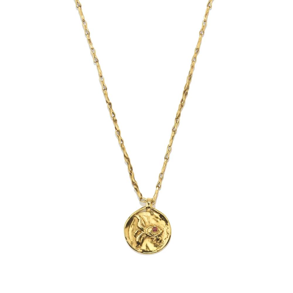 Колье Talisman Astro Pisces 2