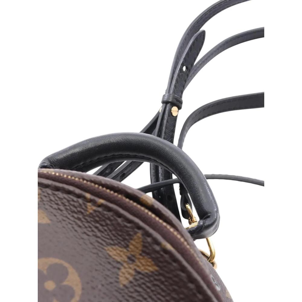 Мини-рюкзак Monogram Palm Springs (2021-2026 годы) 2