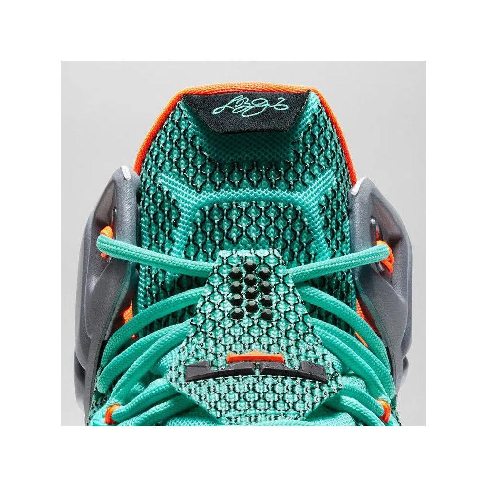 Кроссовки Nike LeBron 12 'NSRL' 2