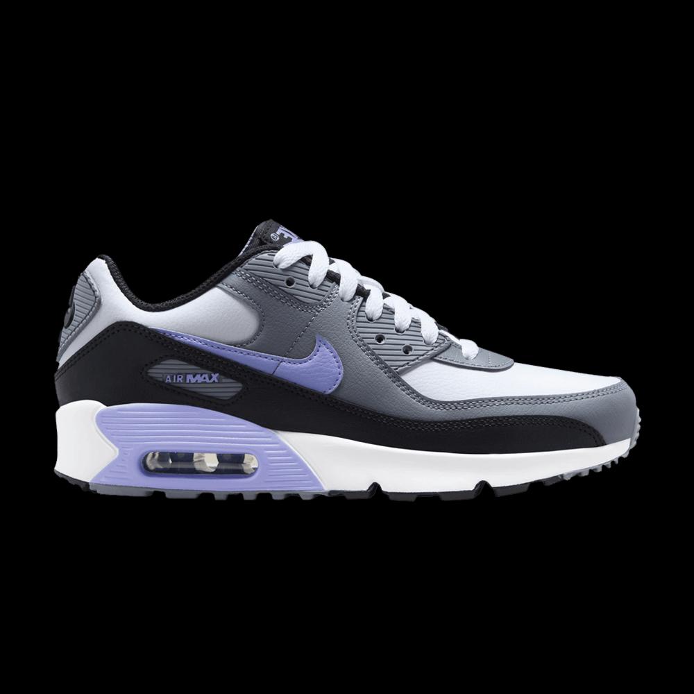 Кроссовки Nike Air Max 90 Leather GS 'Light Thistle' 1