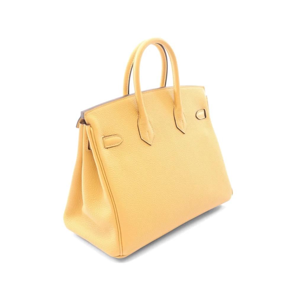 Сумка Birkin 25 Togo (2025 год) 2