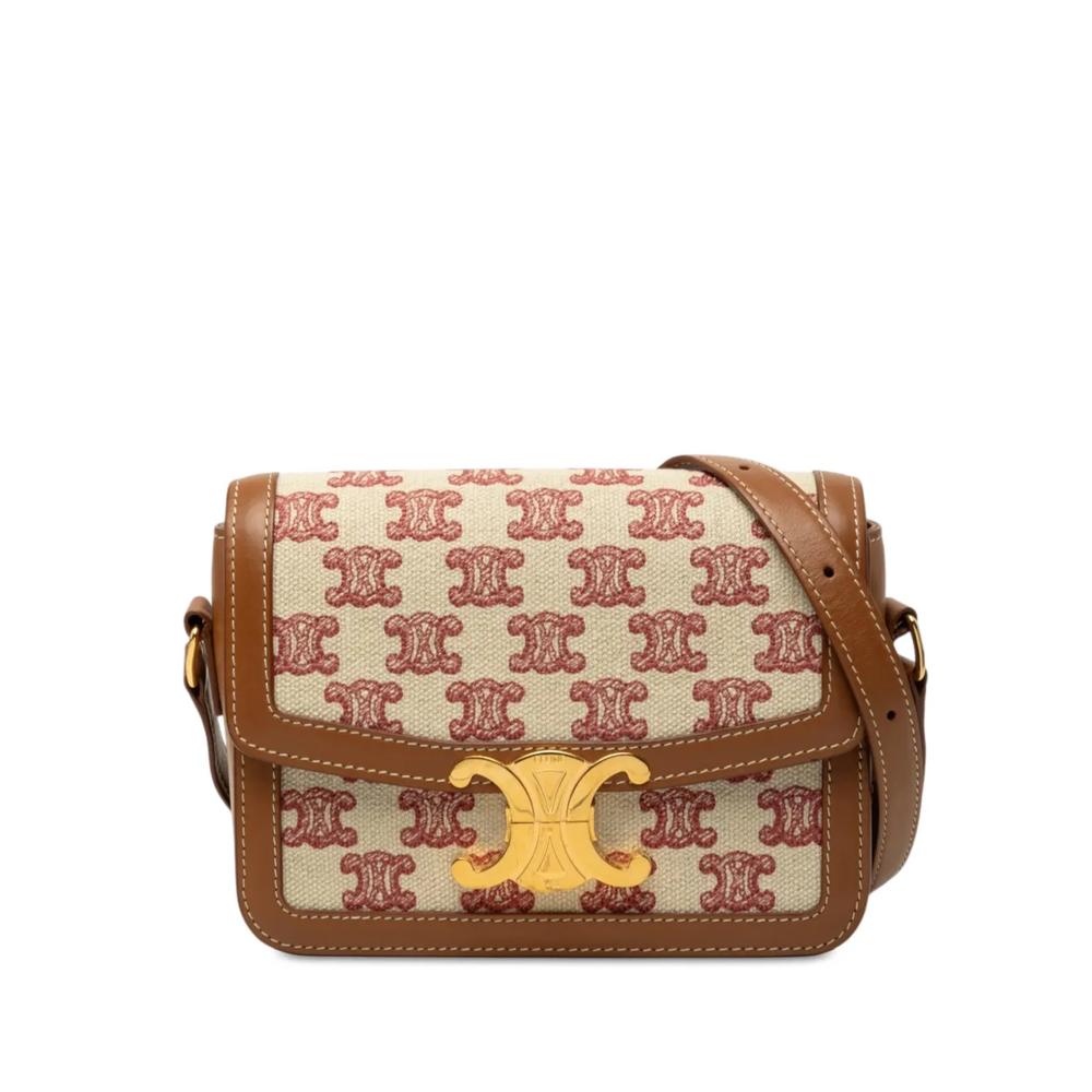 Сумка через плечо Teen Embroidered Canvas and Calfskin Triomphe (2020 год) 1
