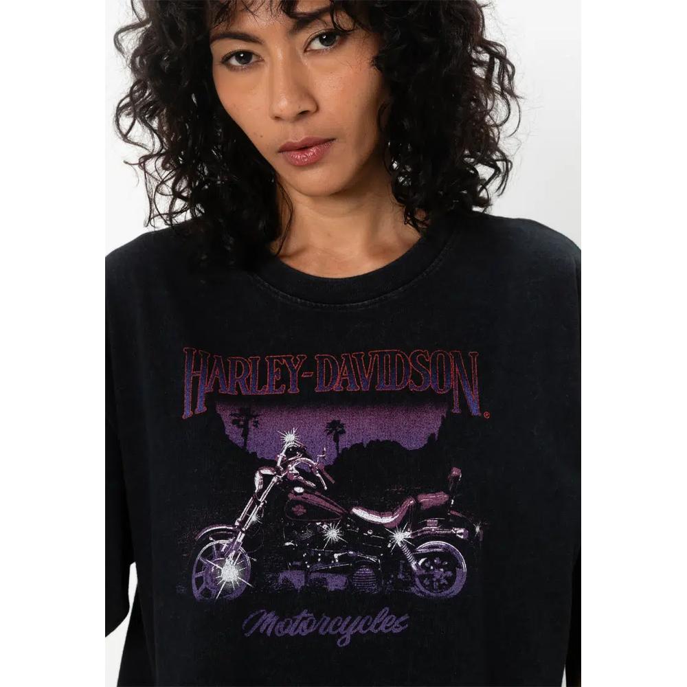 СВОБОДНАЯ ФУТБОЛКА HARLEY-DAVIDSON® LOWRIDER SUNDOWN 3
