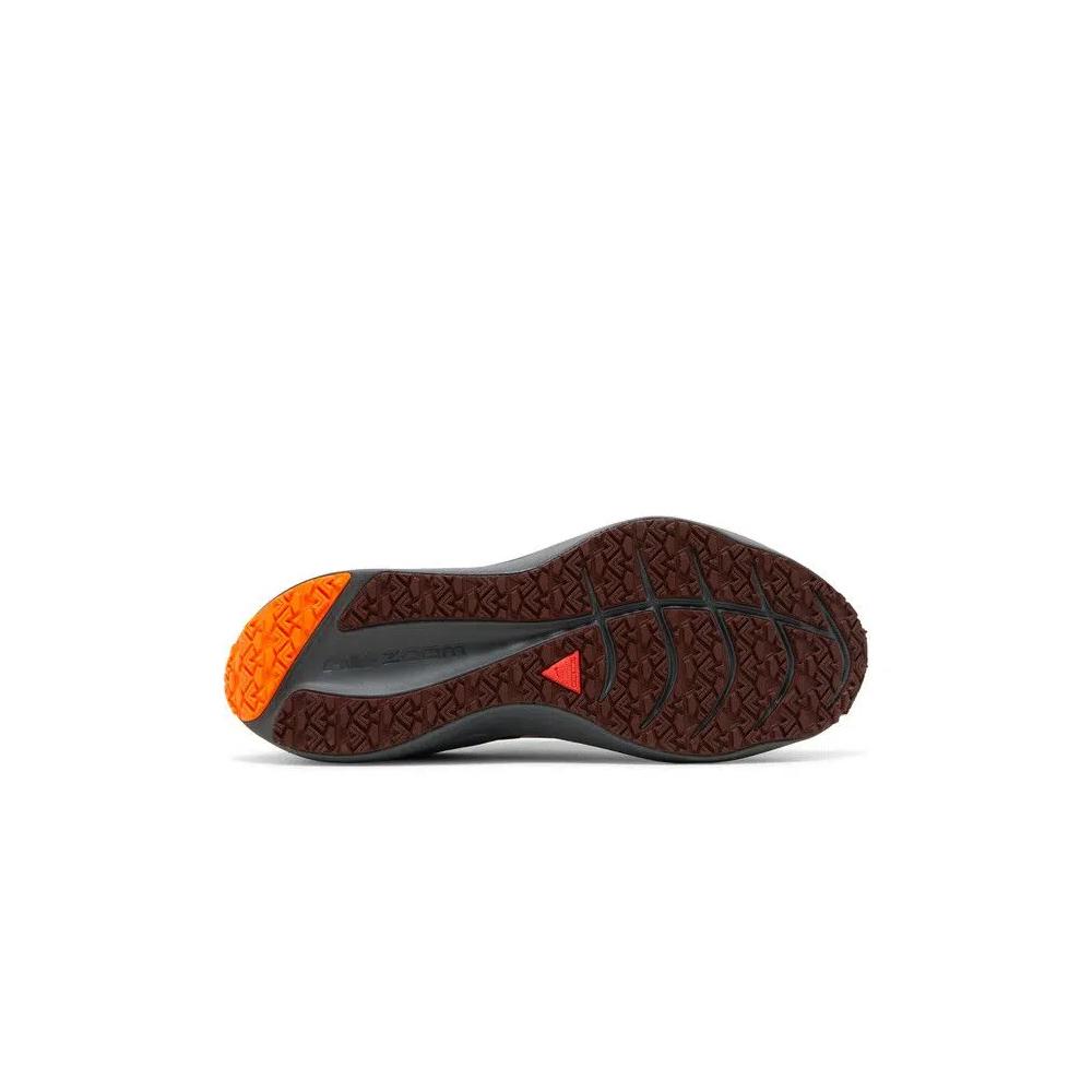 Кроссовки Nike Winflo 8 Shield 'Bronze Eclipse Redstone' 4