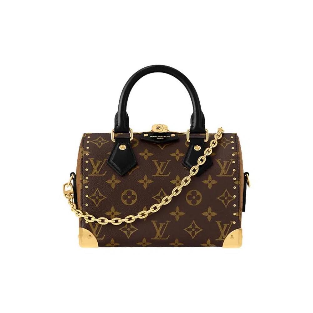 Сумки с ручками Louis Vuitton Speedy Trunk 20 'Коричневый монограммный холст' 1