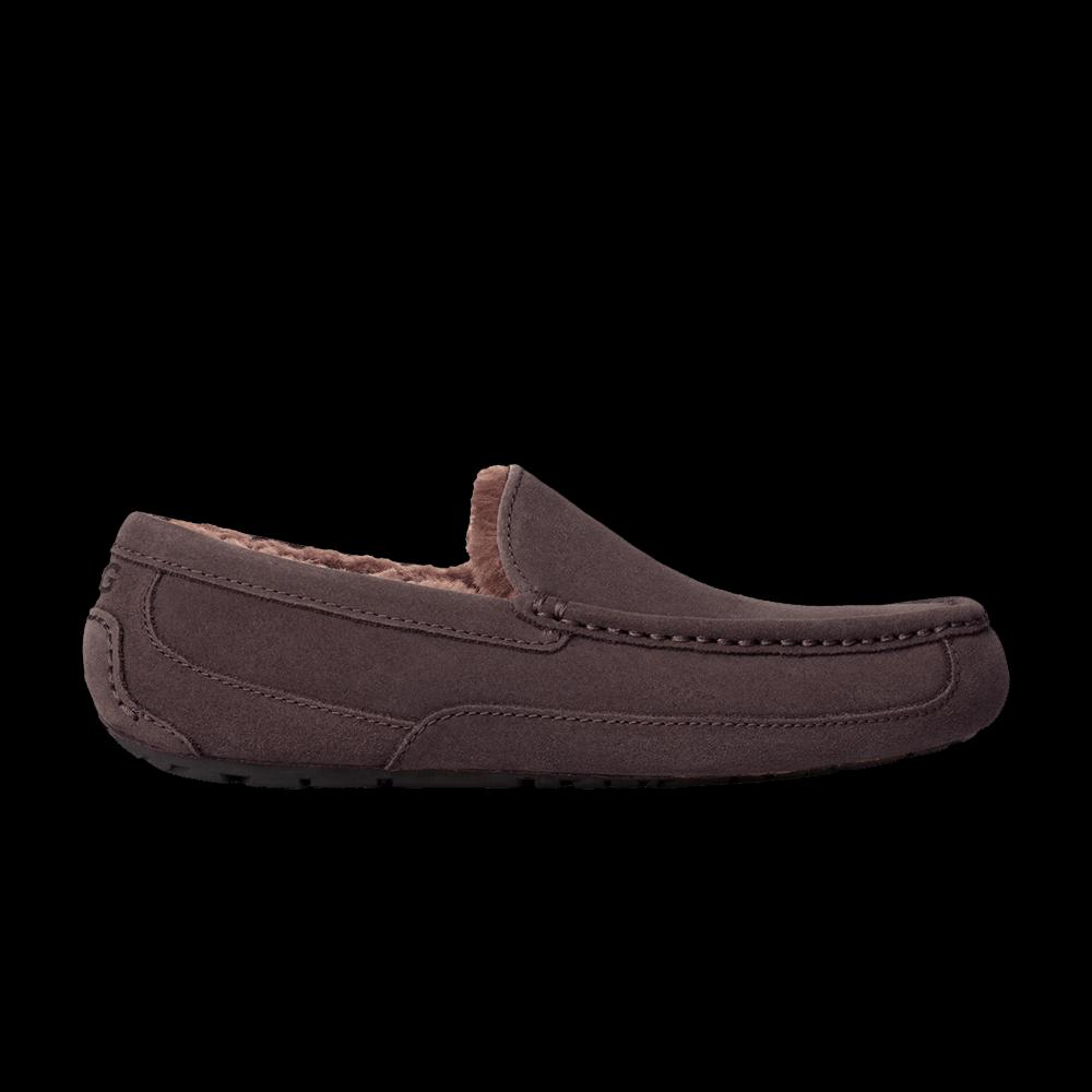 Тапочки UGG Ascot Slipper 'Dusted Cocoa' 1