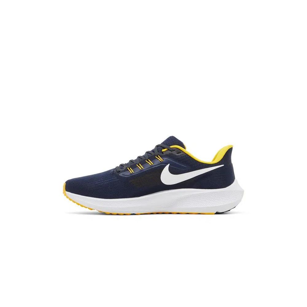 Кроссовки Nike Air Zoom Pegasus 39 'Michigan' 3