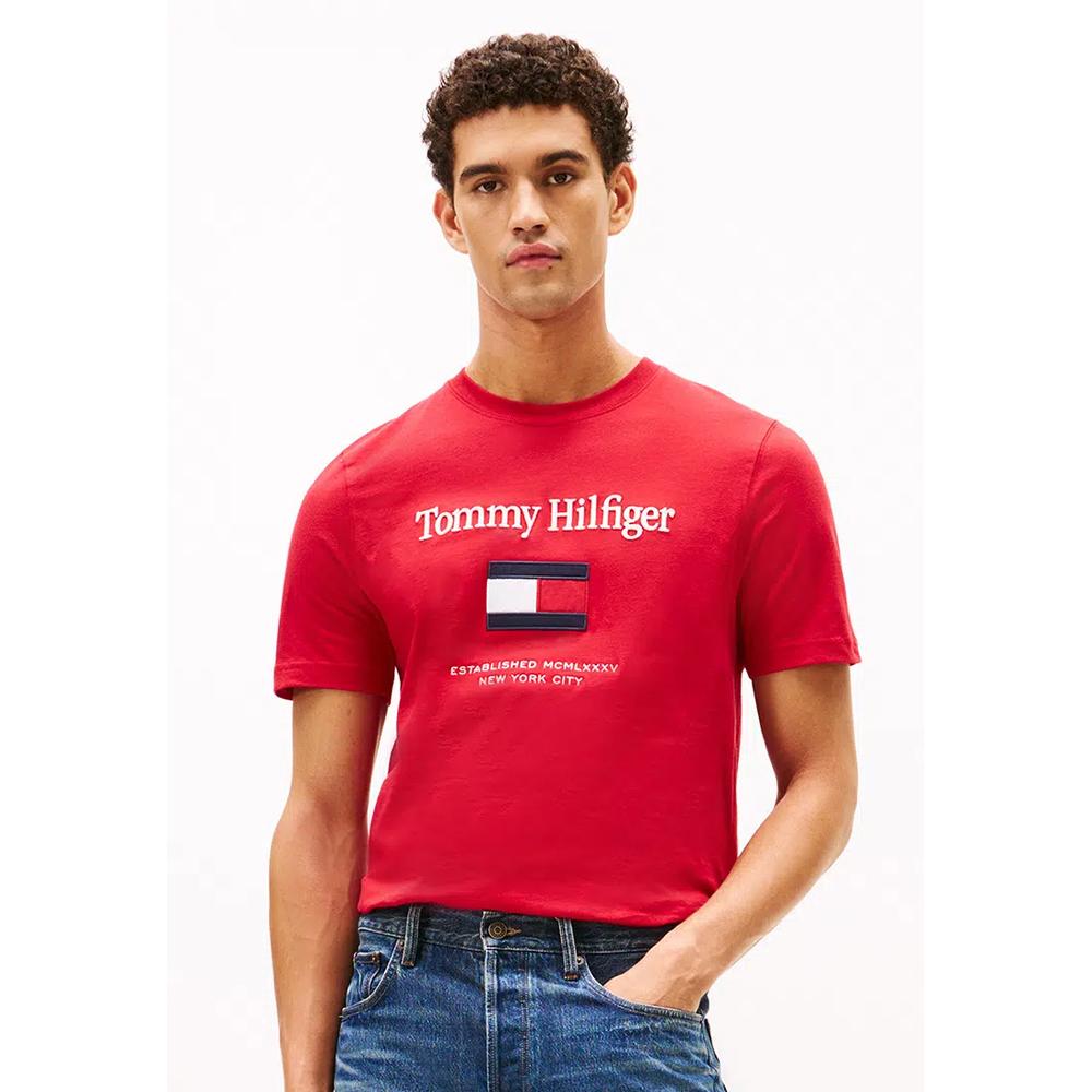 Футболка Tommy Embroidery Flag - TH Mainline 1