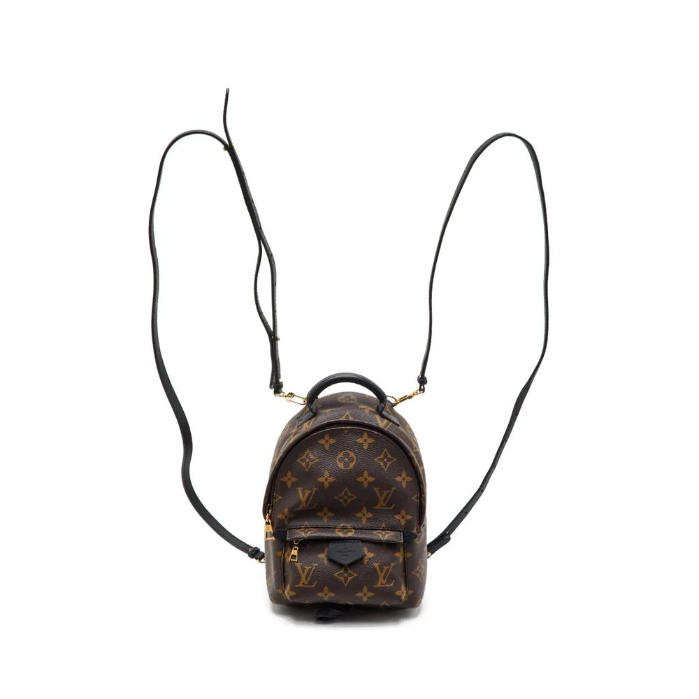 Рюкзак Mini Palm Springs Monogram (2015 год) 1