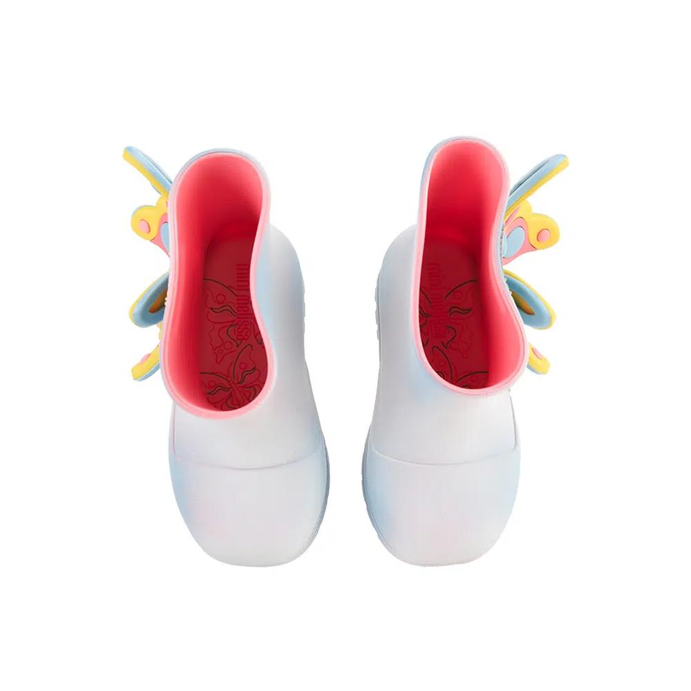 Детские сапоги Welly Wonderland Bb 4