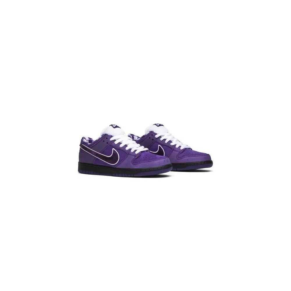 Кроссовки Concepts x Nike Dunk Low SB 'Purple Lobster' Special Box 8