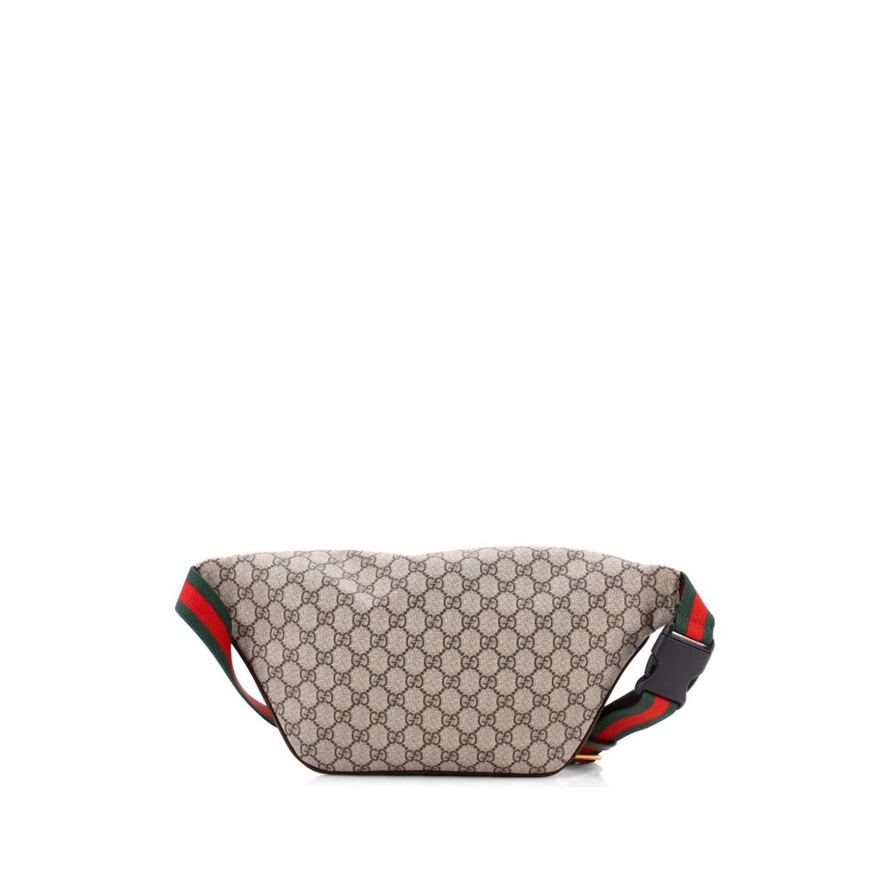 Поясная сумка Courrier Zip GG Coated Canvas with Applique 2