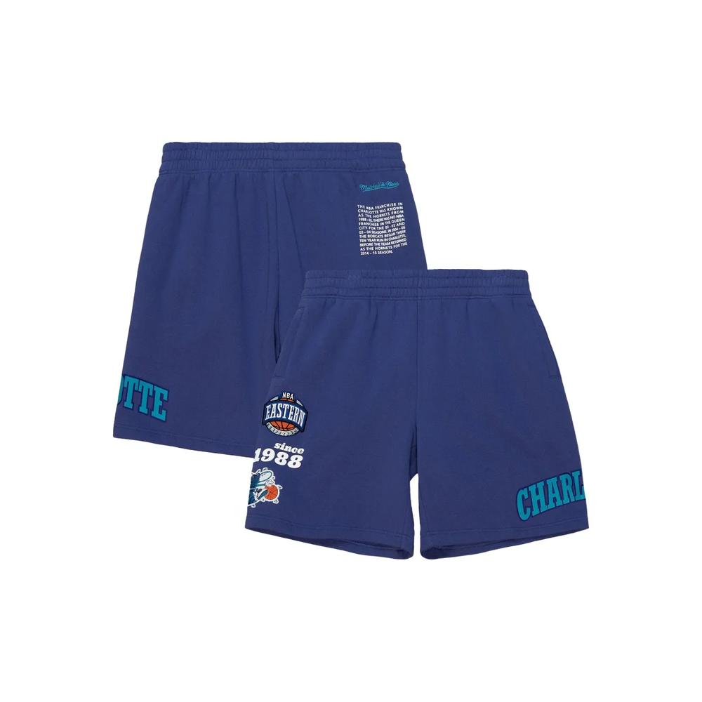 Шорты Charlotte Hornets Team Origins 2