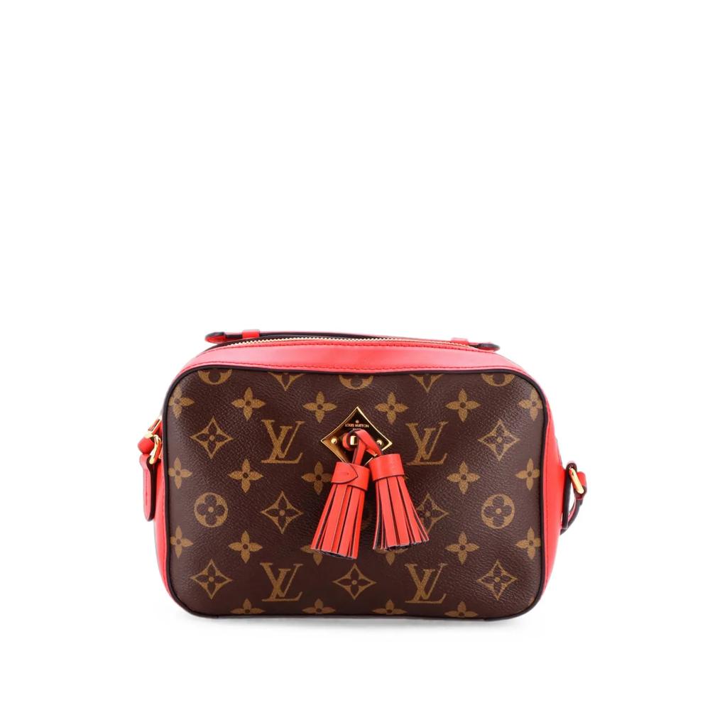Сумка через плечо Saintonge Handbag Monogram Canvas with Leather 1