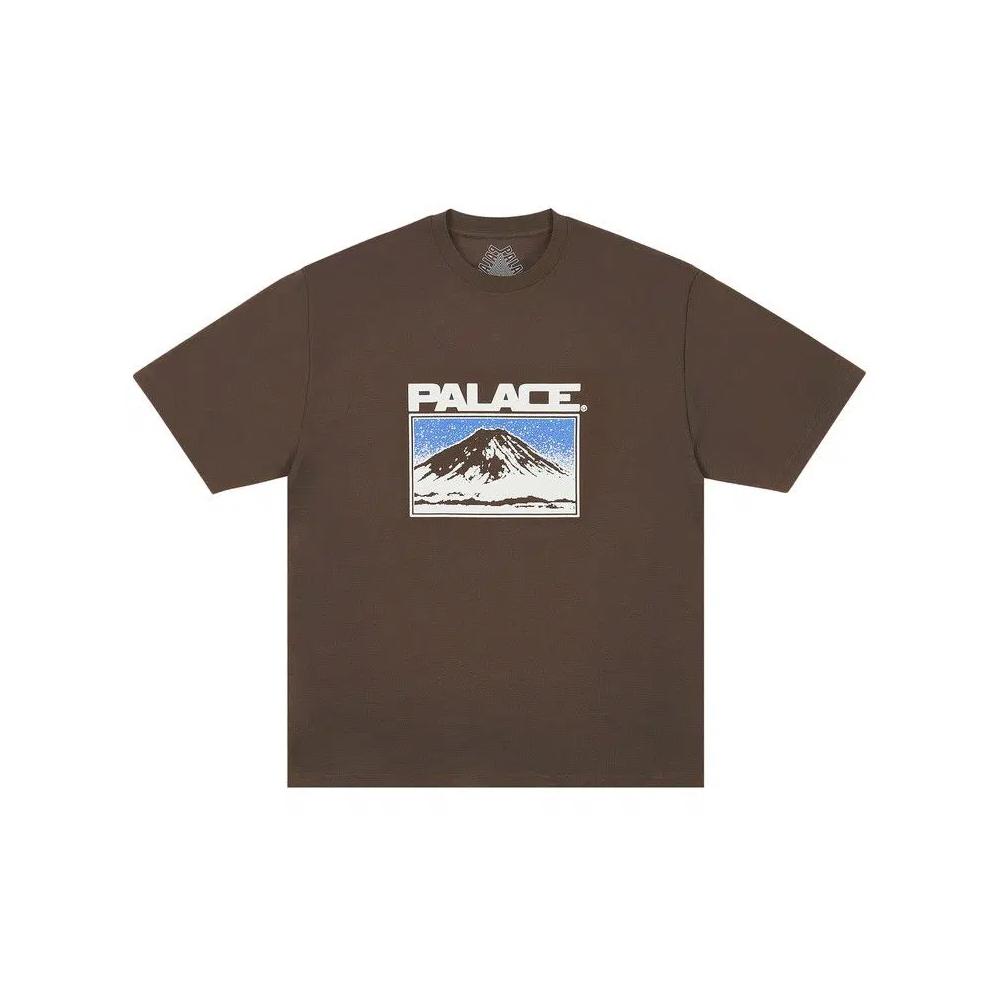 Футболка Tops Palace Summit 'Chocco Brown' 1