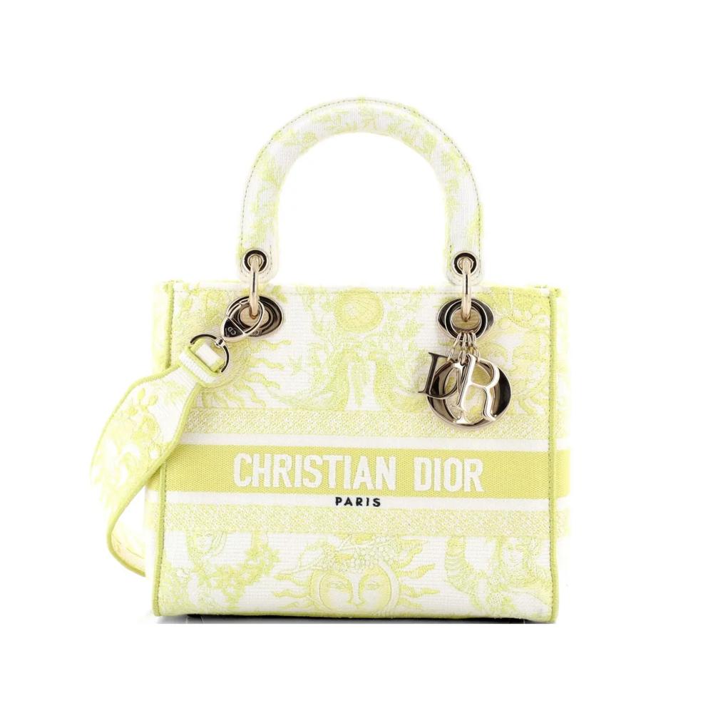 Сумка-сэтчел Lady D-Lite Bag Embroidered Canvas Medium 1