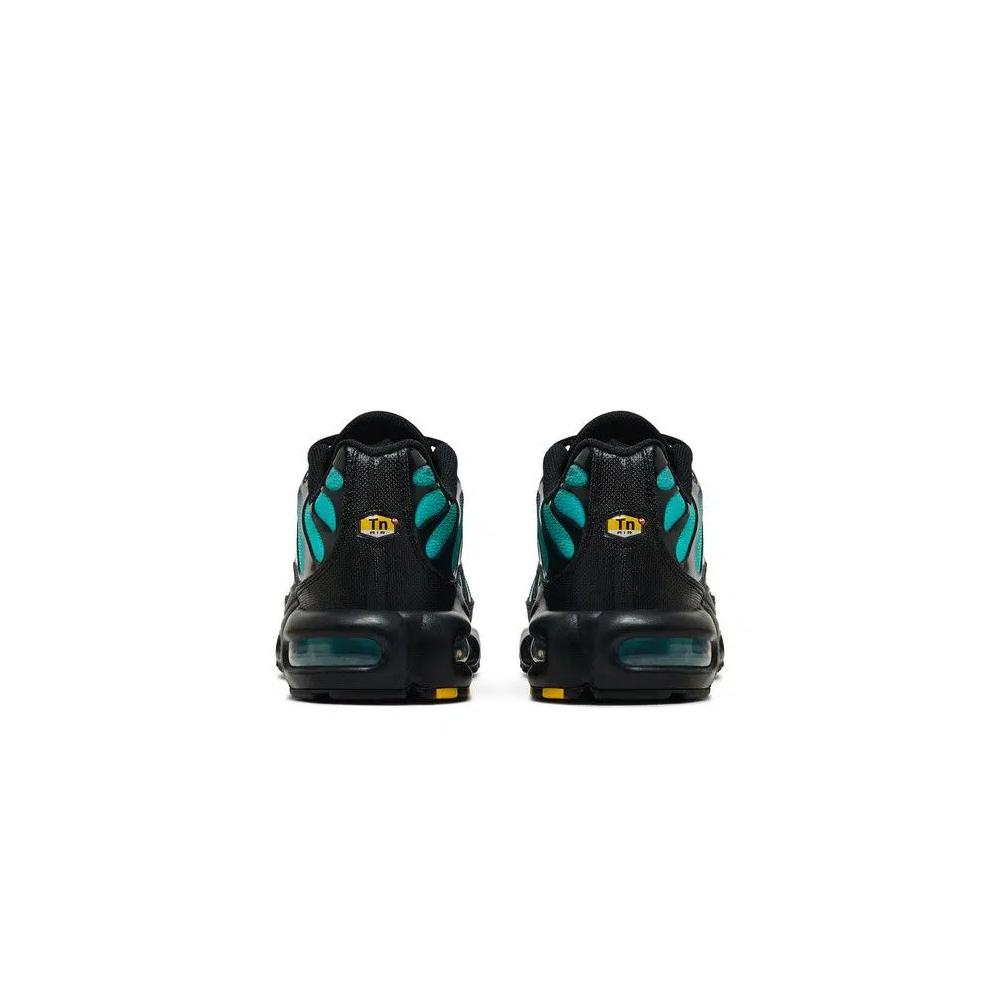 Кроссовки Nike Air Max Plus 'Black Dusty Cactus' 6