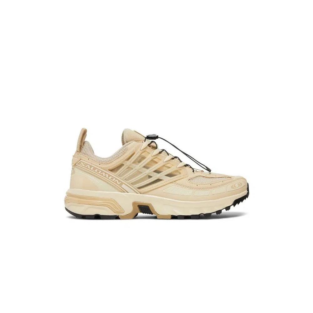 Кроссовки Salomon ACS Pro Advanced «Safari» 1