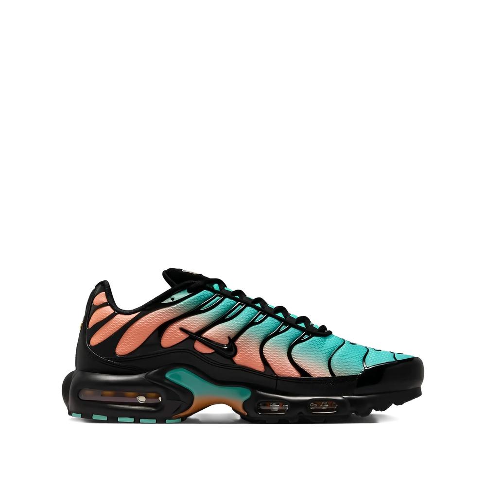 Кроссовки Air Max Plus Blue 1